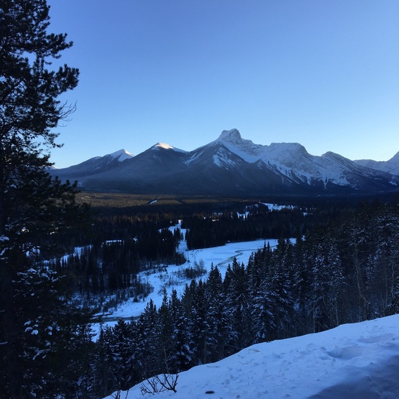 Meet your Posher, Kathy - Picture 1 of 1